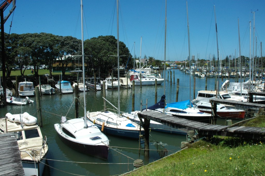 Milford_Marina_Auckland